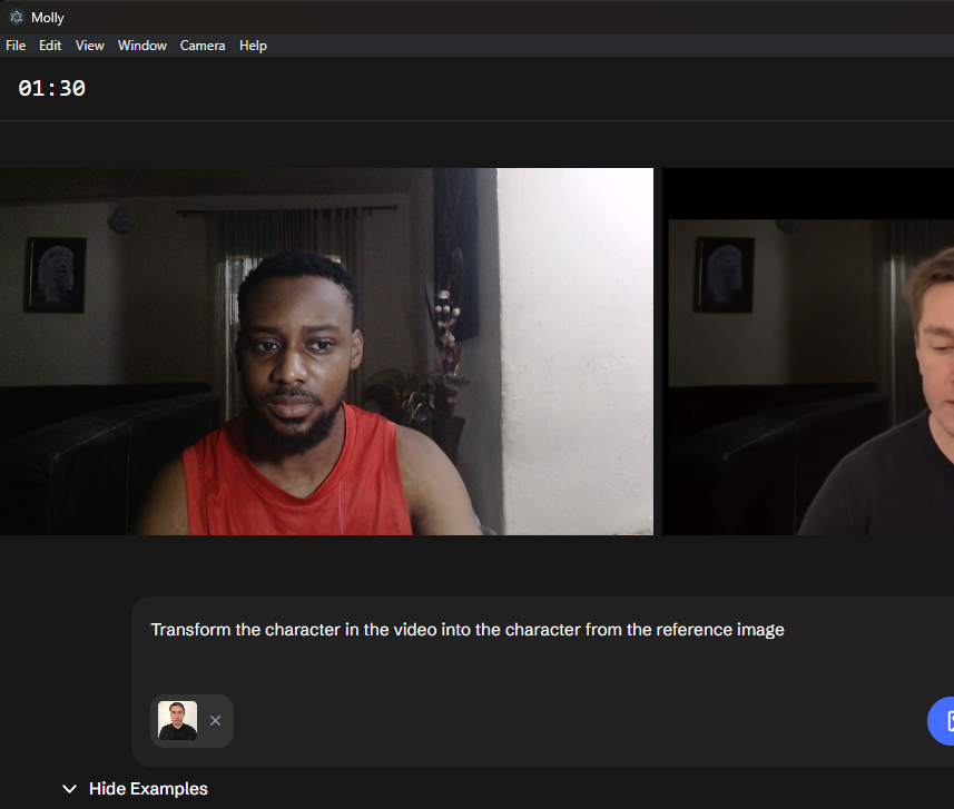 Molly desktop interface overview